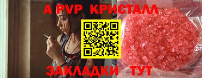 PSILOCYBIN Краснодар
