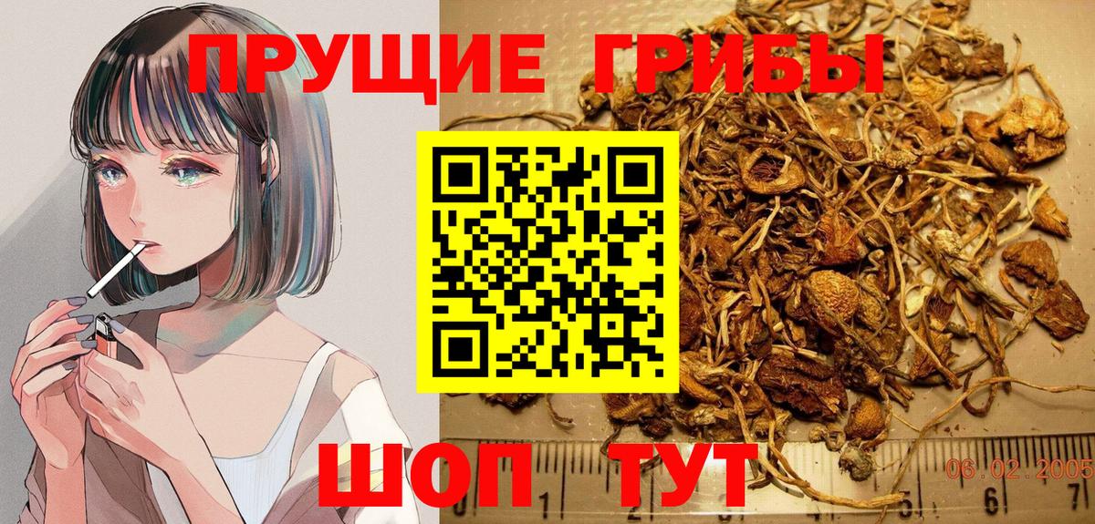 что такое   Вход с VPN  Кострома  Галлюциногенные грибы мухоморы  Галлюциногенные грибы мухоморы 